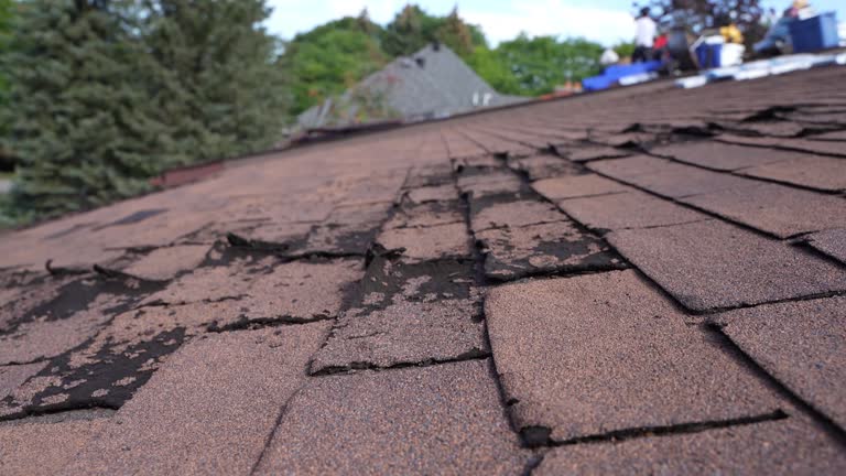 Best Slate Roofing  in Landmk, AR