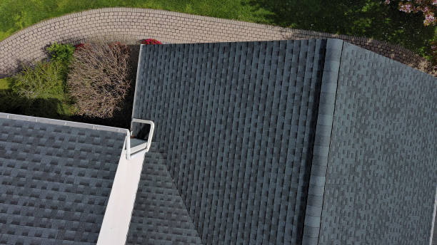 Best Skylight Installation and Repair  in Landmk, AR